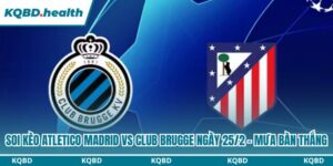 Dự đoán Atletico Madrid Vs Club Brugge Ngày 25/2 - Mưa Bàn Thắng 6 Soi kèo Atletico Madrid vs Club Brugge